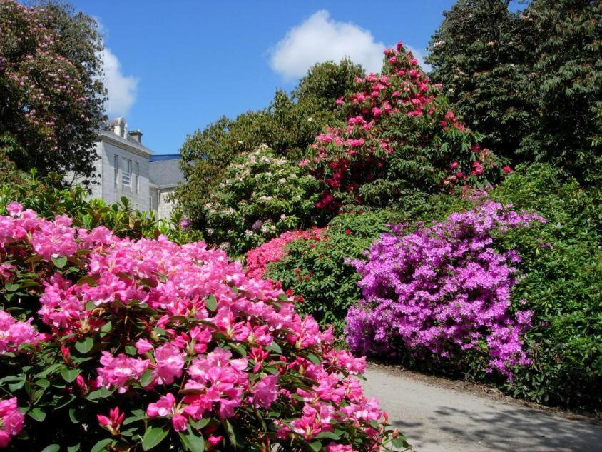 Glasney Rooms, University Campus Penryn Falmouth Esterno foto